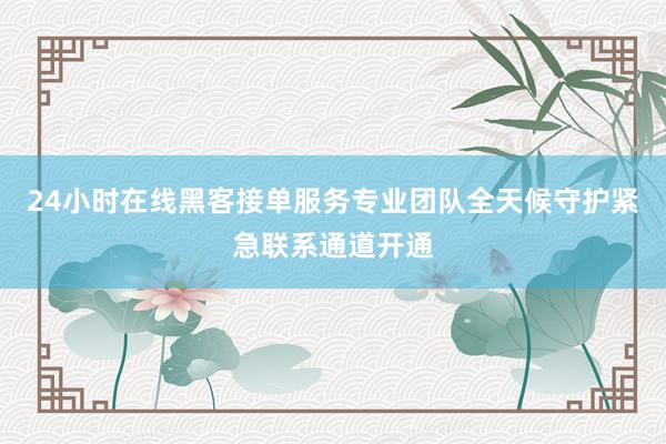 24小时在线黑客接单服务专业团队全天候守护紧急联系通道开通
