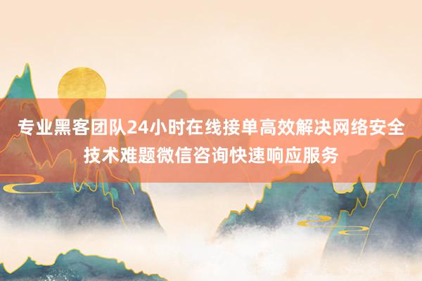 专业黑客团队24小时在线接单高效解决网络安全技术难题微信咨询快速响应服务