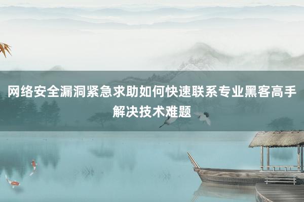 网络安全漏洞紧急求助如何快速联系专业黑客高手解决技术难题